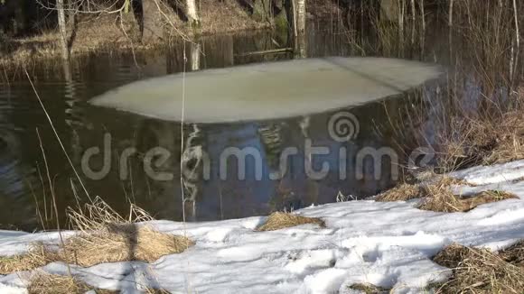 去年冬天春天池塘里的冰和水泛滥视频的预览图