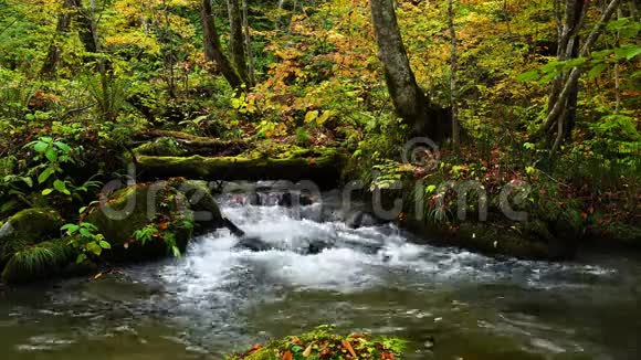 依拉西峡秋色目的地自然景观视频的预览图