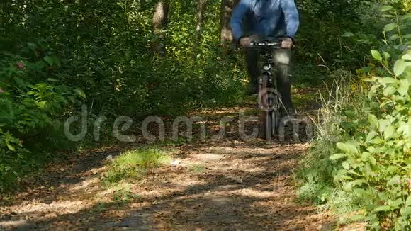 骑自行车的人骑在风景如画的森林里视频的预览图