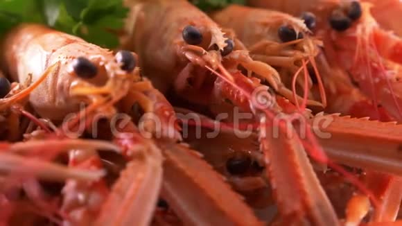 新鲜海鲜大虾鱼视频的预览图