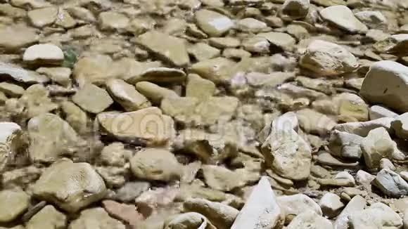 清澈的水面上有卵石背景视频的预览图