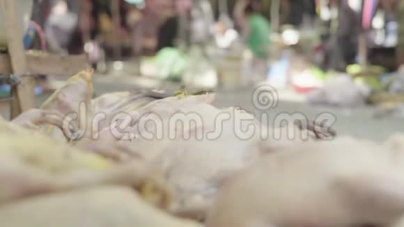 金边市场柬埔寨亚洲柜台上的鸡尸视频的预览图