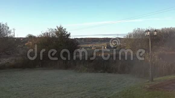 一个雾蒙蒙的早晨有草坪沼地和灯柱视频的预览图