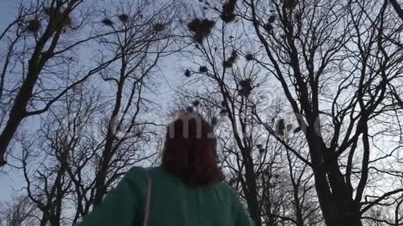 年轻的女性鸟类学家通过她的电话在树上筑巢唱歌和飞行拍照公鸡巢视频的预览图