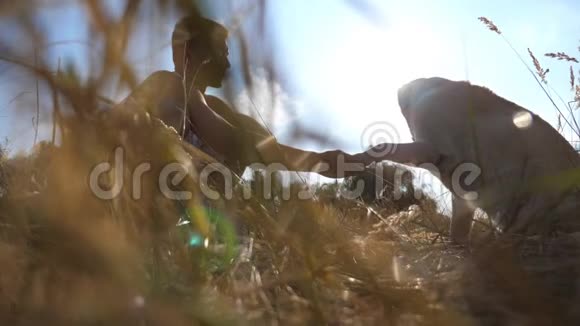 拉布拉多或金毛猎犬坐在绿草上把爪子交给主人户外训练狗太阳射线视频的预览图