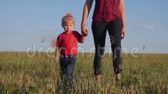 一位年轻的母亲和她的金发女儿在新鲜空气中散步幸福的一家人走在绿草上视频的预览图