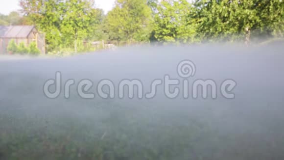 晨雾笼罩草地在草地上抽烟神奇的夏日早晨视频的预览图