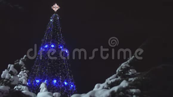美丽的装饰圣诞树在夜空的背景上新年和圣诞节概念复印空间明亮视频的预览图