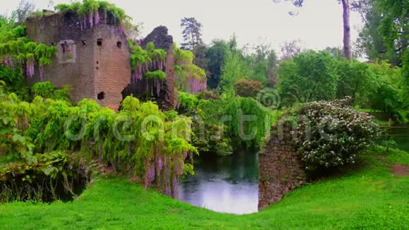 意大利尼法4k童话城堡花园中的紫藤花中世纪的塔楼被雨中的河流包围着视频的预览图