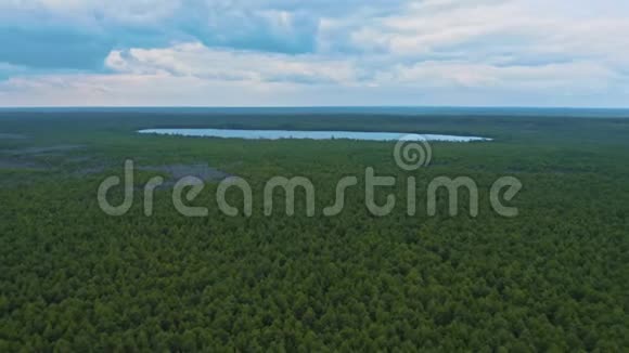 西伯利亚大森林中的一个小湖空中观景视频的预览图