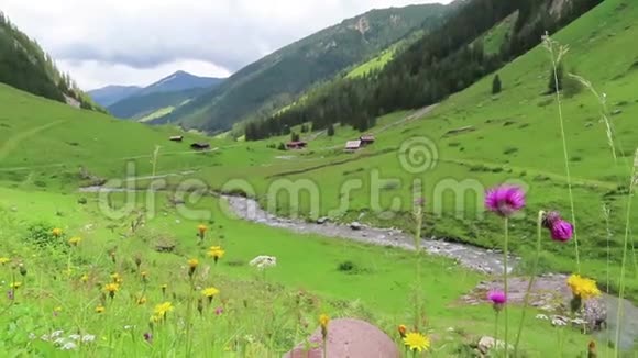 流经奥地利蒂罗尔州的舍纳奇塔尔山谷一直都是花背景农场房屋视频的预览图
