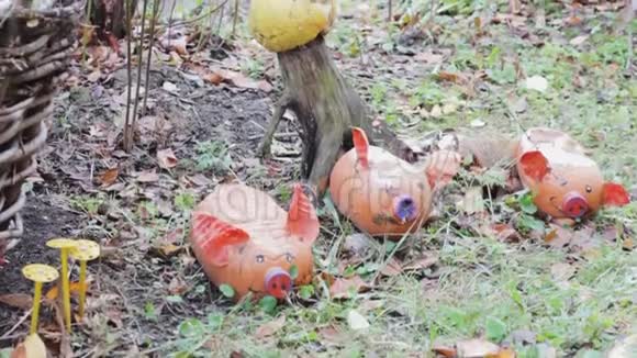 花园里的三只小猪后院的装饰玩具视频的预览图