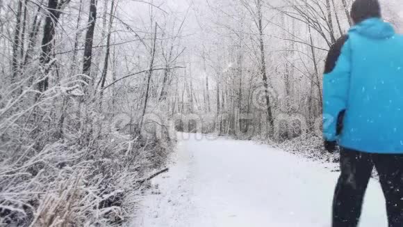 在暴风雪中人类在森林中行走视频的预览图
