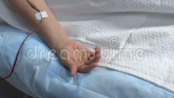 亲属在医院病房牵手患病妇女支持患病视频的预览图