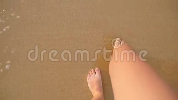 年轻女子踏着沙滩上的金色沙滩女性的腿在海洋附近行走光脚的女孩视频的预览图