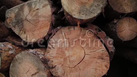 落在森林中的一棵树树干上的燃烧的原木折叠的原木掉进了一堆倒下的树落在一堆树上视频的预览图