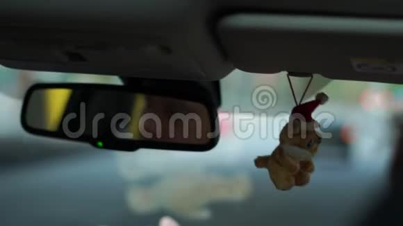 漂亮的灰色毛皮玩具挂在里面的移动汽车在斯洛文尼亚视频的预览图