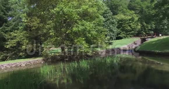 野鸭在清澈的水中在山河里游泳视频的预览图