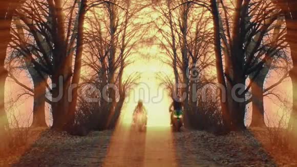 摩托车手一男一女穿过森林视频的预览图