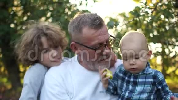 快乐的祖父和两个孙子在秋天的苹果园里玩得很开心祖父和两个视频的预览图