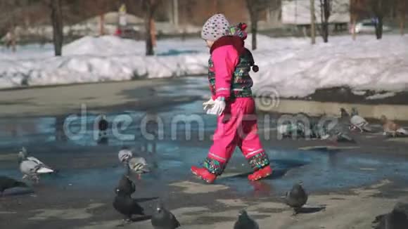 春天公园里小女孩追逐鸽子视频的预览图