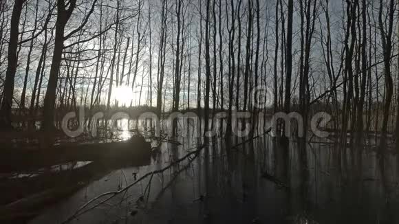 春天的日落伴随着洪水时间的流逝视频的预览图