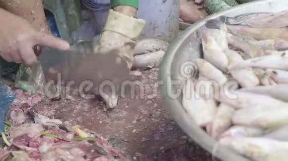 西哈努克城的市场柬埔寨亚洲出售前刀鱼视频的预览图