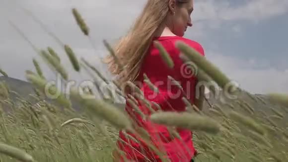 一个年轻的女孩在一片绿色的田野里快乐地慢悠悠地走着用手抚摸着麦穗视频的预览图