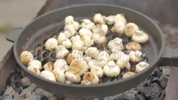 蘑菇是在一个特殊的煎锅里用煤制蘑菇视频的预览图