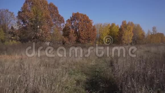 乡间的视野空旷的麦田和草地之间的道路视频的预览图