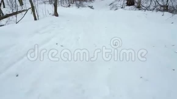 在冬天的森林里运动员们的腿在雪道上奔跑视频的预览图