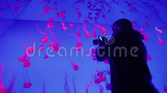 拍摄发光水母的女人的剪影令人惊叹的水下世界视频的预览图