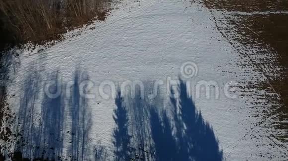 美丽的蓝早春树影在最后的雪空中视频的预览图