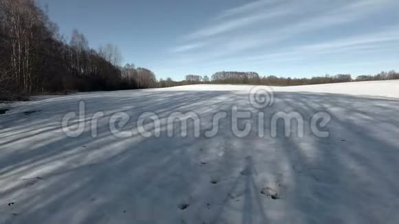 早春树影在最后一场雪上时光流逝视频的预览图