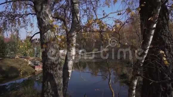 美丽的农村有漂亮的池塘房子在它周围秋天的气氛视频的预览图