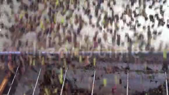 油磨脱叶机加工橄榄滚动运动意大利特级初产视频的预览图