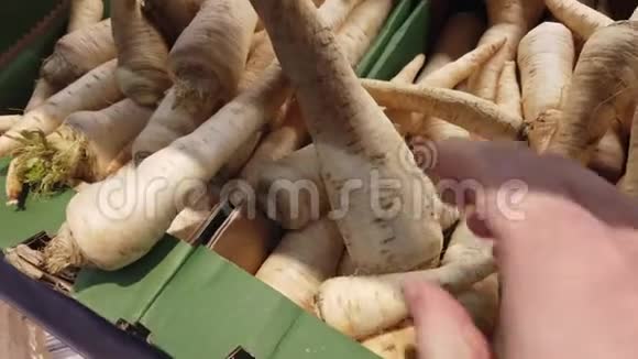 在蔬菜商店或市场上选择蔬菜的手视频的预览图
