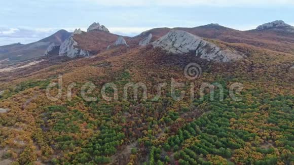在森林覆盖的山脉周围平稳飞行秋季阴天视频的预览图