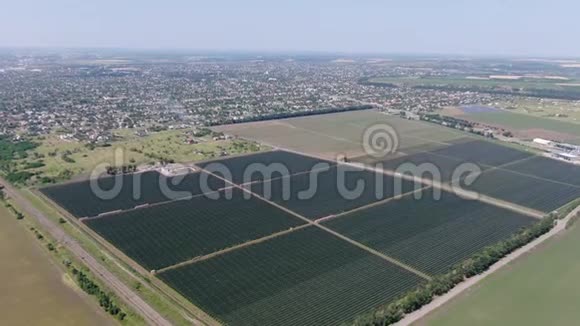 大苹果园的空中景观背景是一个小镇4k视频的预览图