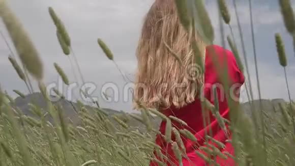 一个年轻的女孩在一片绿色的田野里快乐地慢悠悠地走着用手抚摸着麦穗视频的预览图