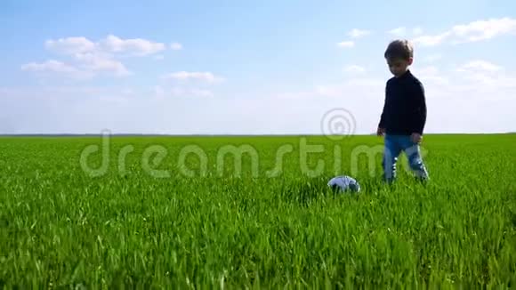 一个快乐的孩子在草地上缓慢地走着踢足球视频的预览图