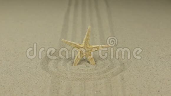 沙圈中心的海星逼近复制空间视频的预览图