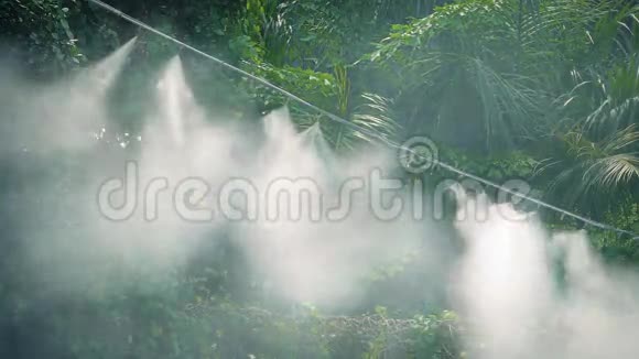 丛林灌溉系统视频的预览图