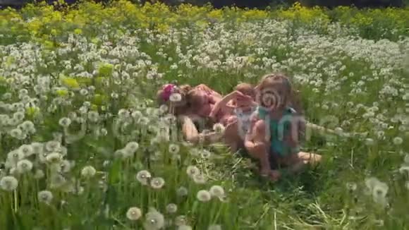 空中年轻的金发嬉皮士妈妈和她的女孩子在公园蒲公英球场度过了美好的时光女儿们视频的预览图