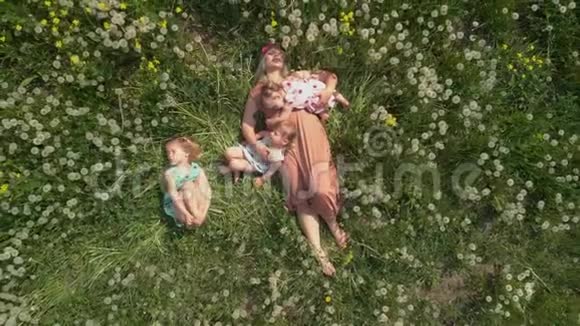空中年轻的金发嬉皮士妈妈在公园蒲公英球场和她的小女孩躺在一起视频的预览图