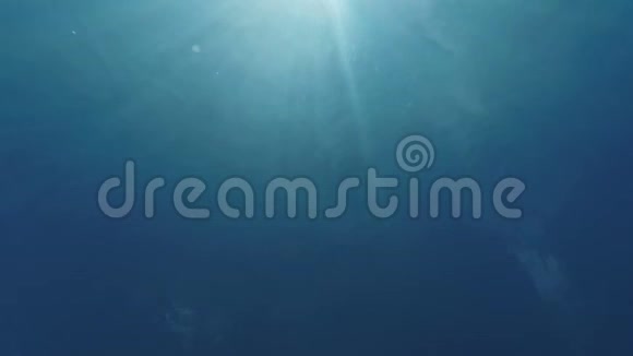 在水下背景下蓝色的水中闪烁着阳光视频的预览图