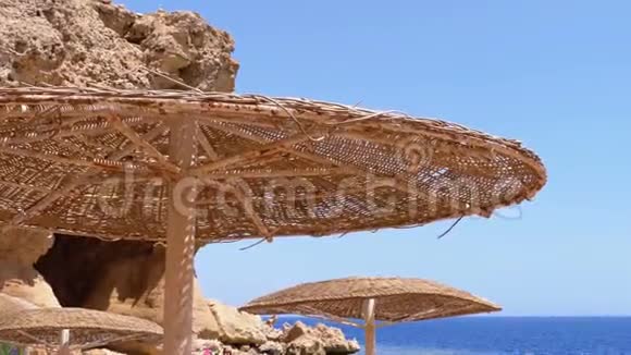太阳伞在珊瑚滩上埃及的岩石和石头在红海上视频的预览图