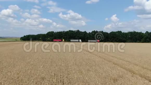 运输收获的小麦作物停放在田地附近的卡车视频的预览图