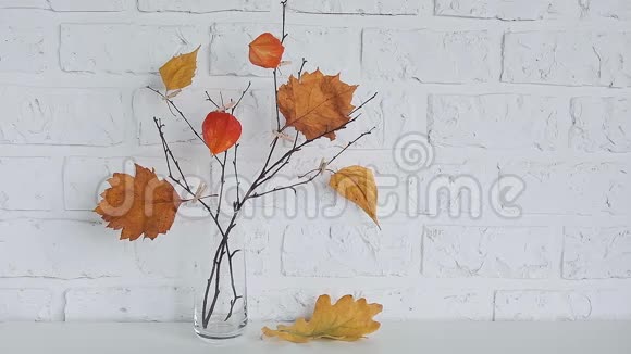 秋天的创意花束树枝上有黄叶花瓶上有花瓶背景白色砖墙视频的预览图