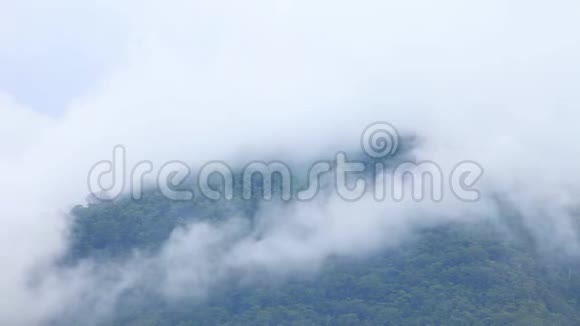 4k雾蒙蒙的早晨在森林深处的山上雾从林间山中流过视频的预览图